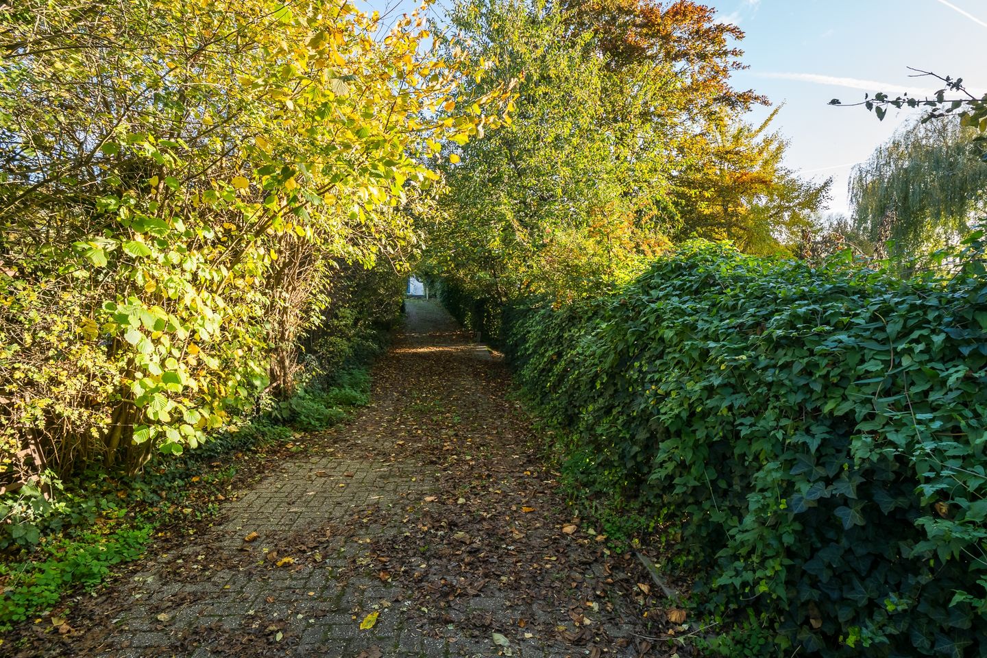 Photo 50 of Waaldijk 18