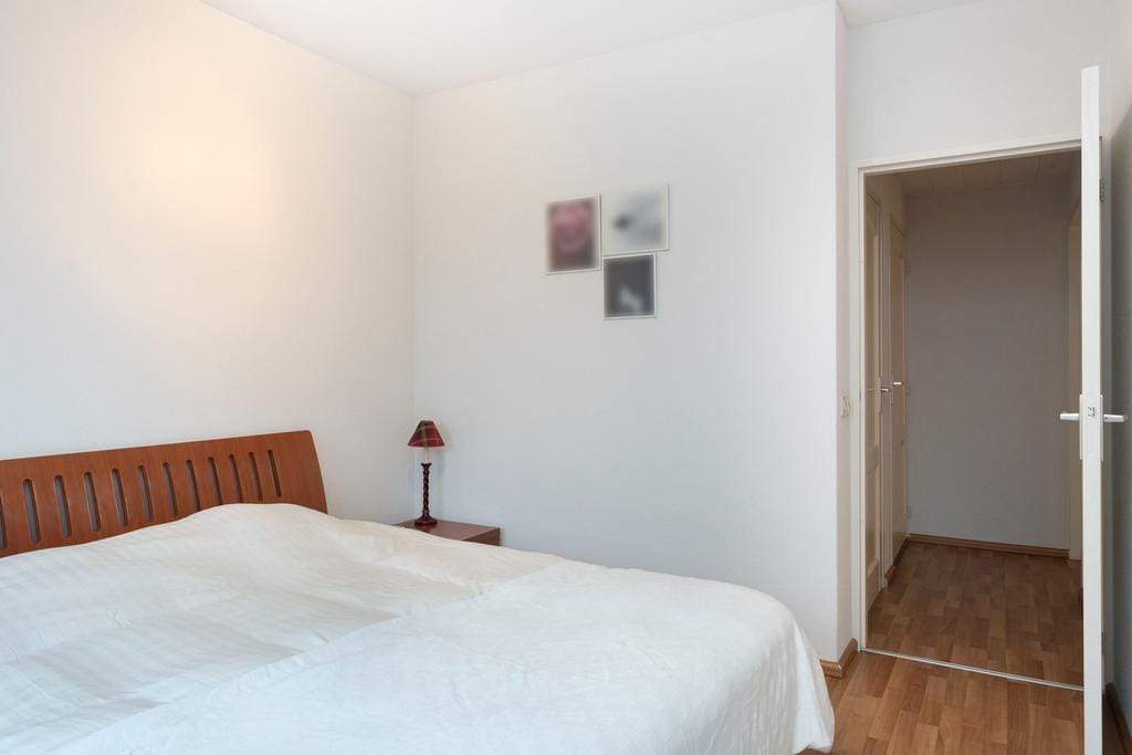 Foto 11 van Ferdinandus Gomes Alemanstraat 14