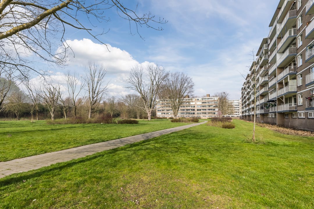 Photo 41 of Adriaan Dortsmanstraat 71