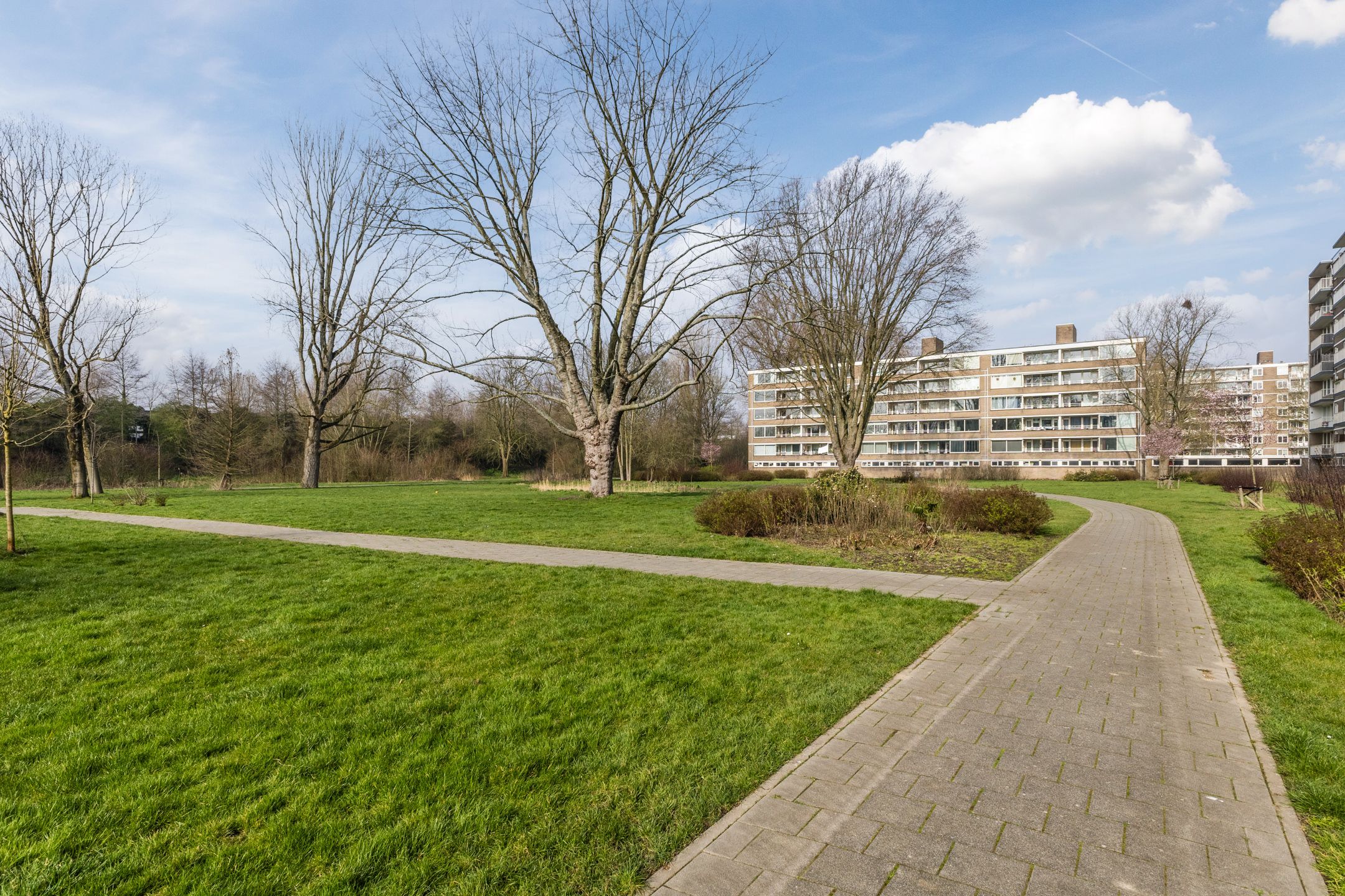 Photo 45 of Adriaan Dortsmanstraat 71