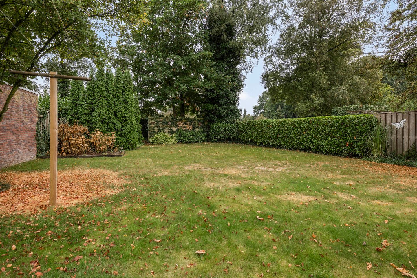 Photo 40 of Alberthus Risaeusstraat 8-A