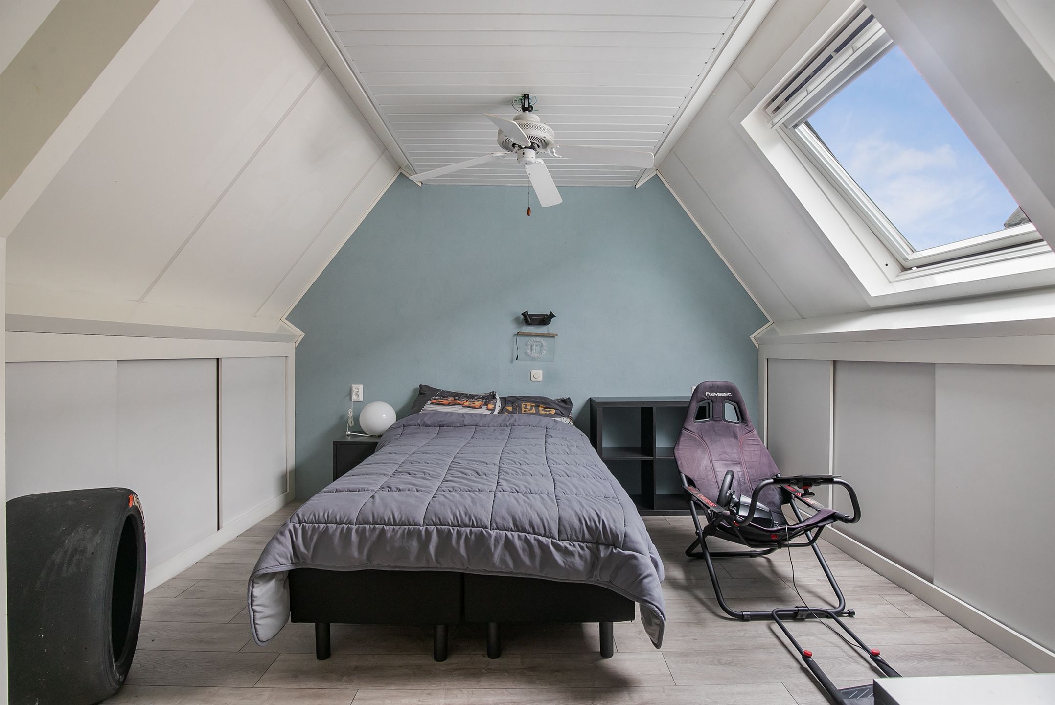 Foto 24 van Ranonkel 24