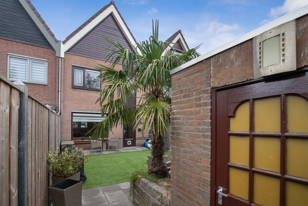 Foto 26 van Ranonkel 24