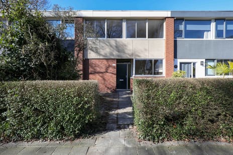 undefined main image