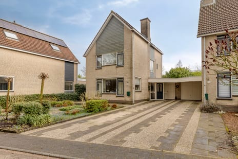 undefined main image