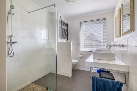 Woestijnvaraan 17 tertiary image