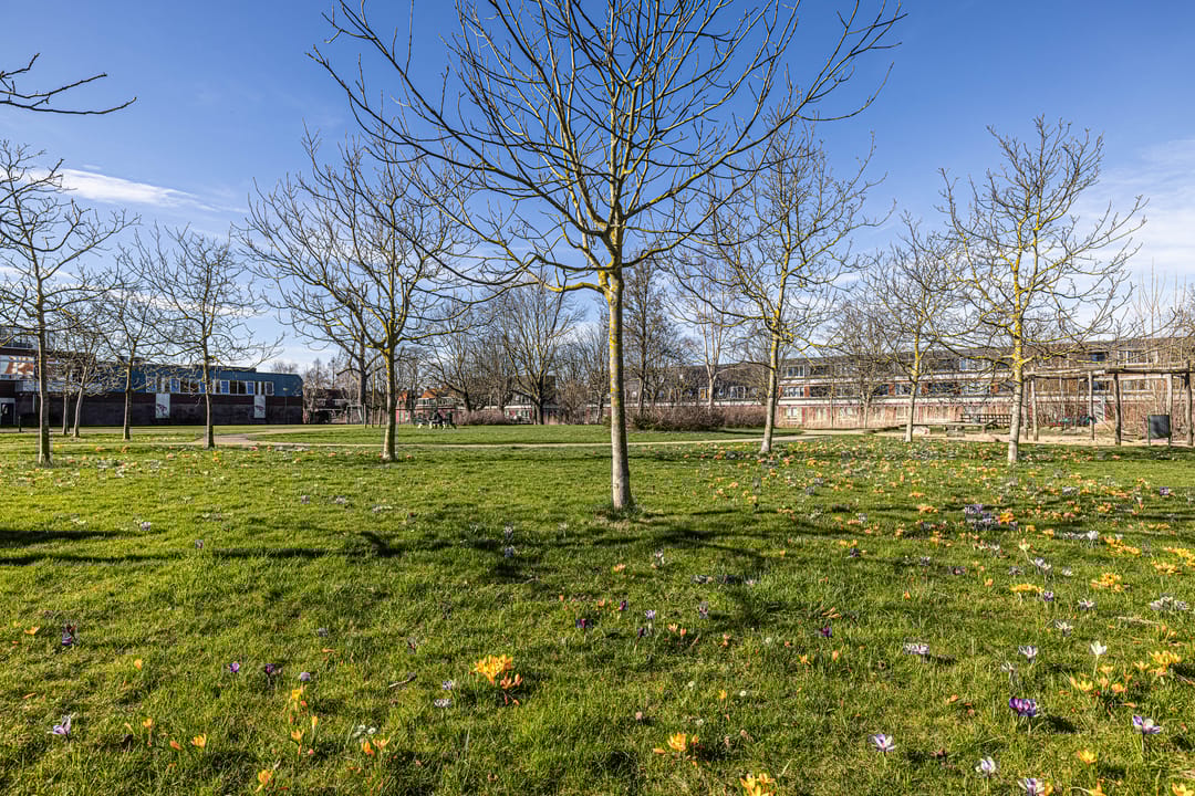 Foto 56 van Hugo Claushof 6