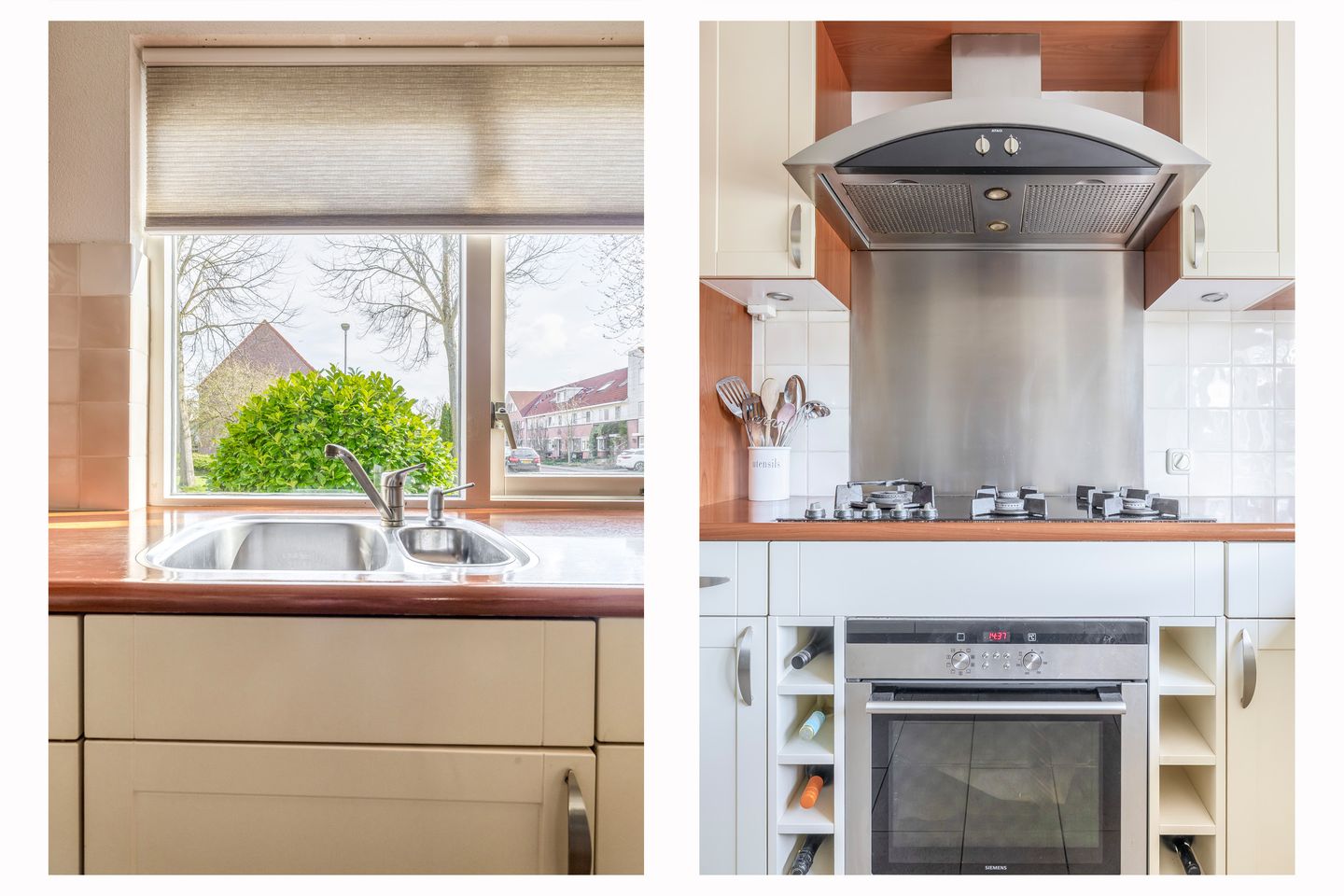 Photo 14 of Woestijnvaraan 17