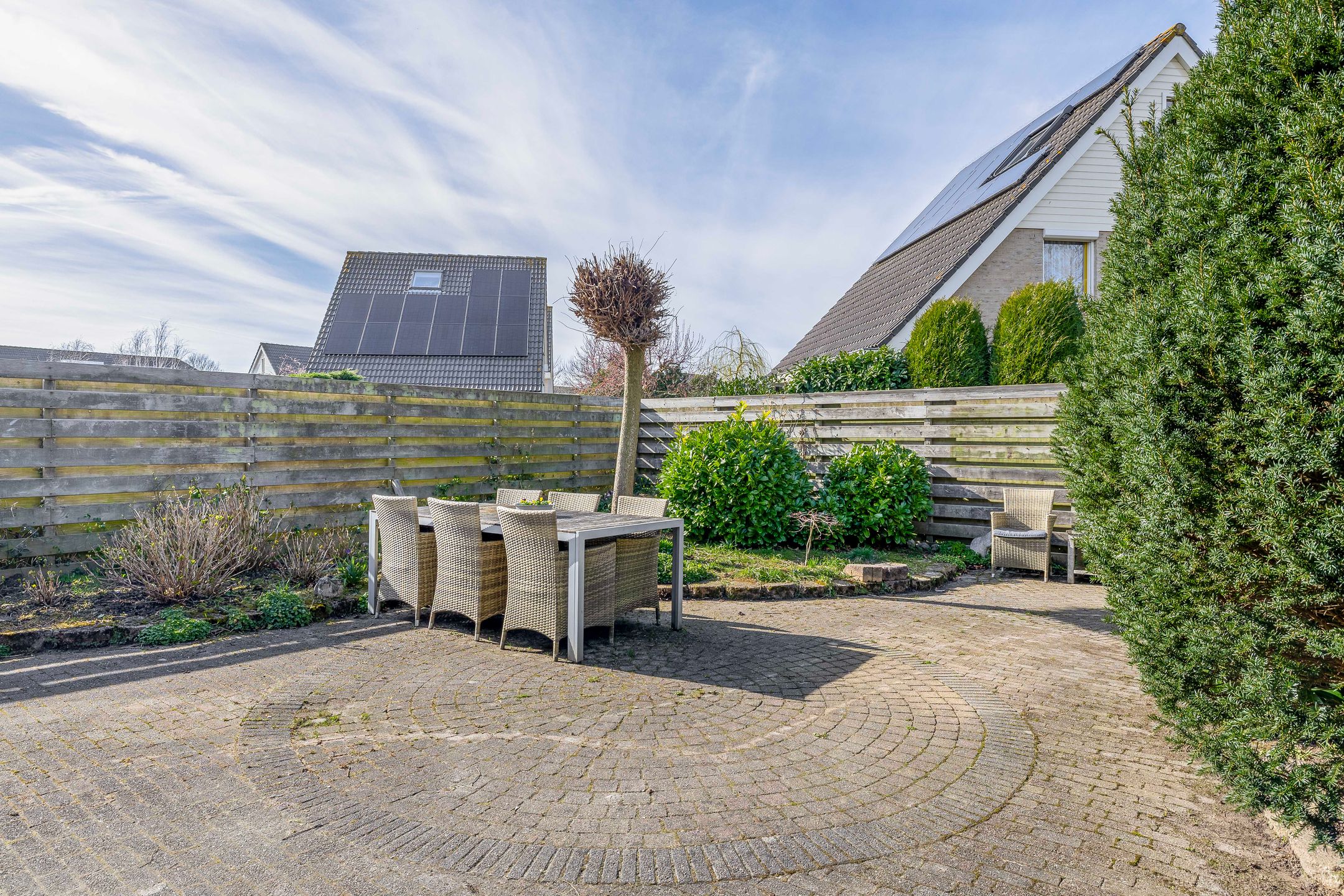 Photo 18 of Woestijnvaraan 17