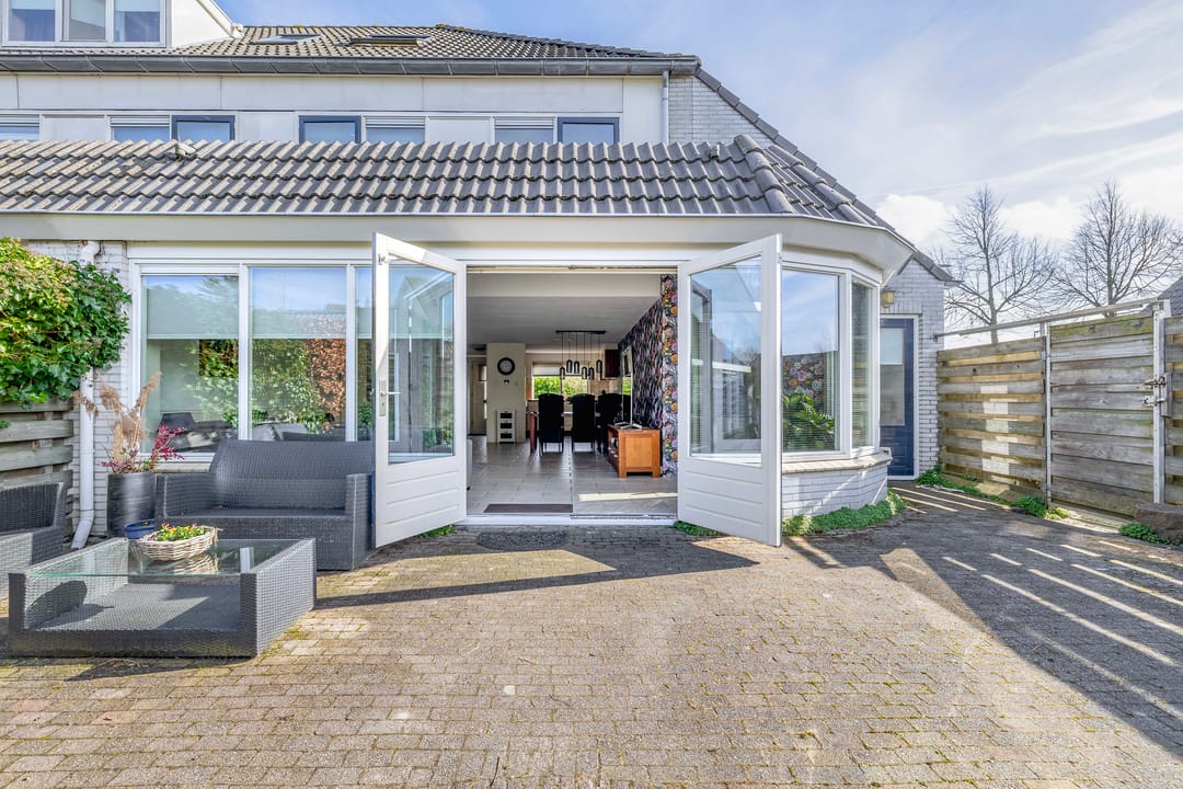 Photo 17 of Woestijnvaraan 17