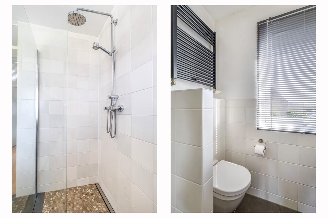 Photo 26 of Woestijnvaraan 17