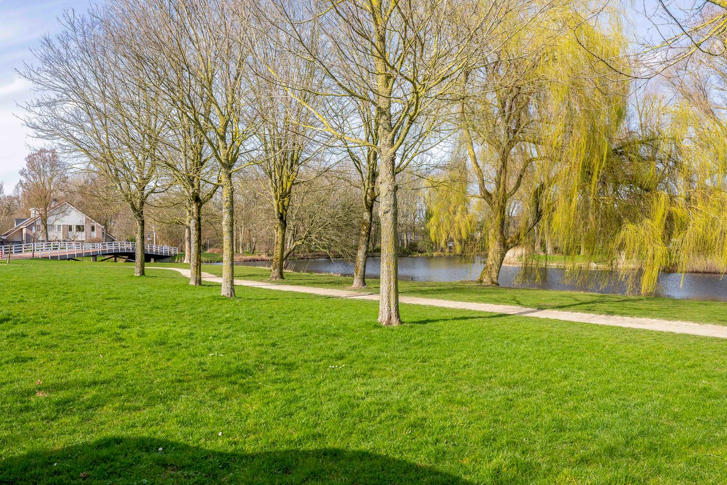 Photo 34 of Woestijnvaraan 17