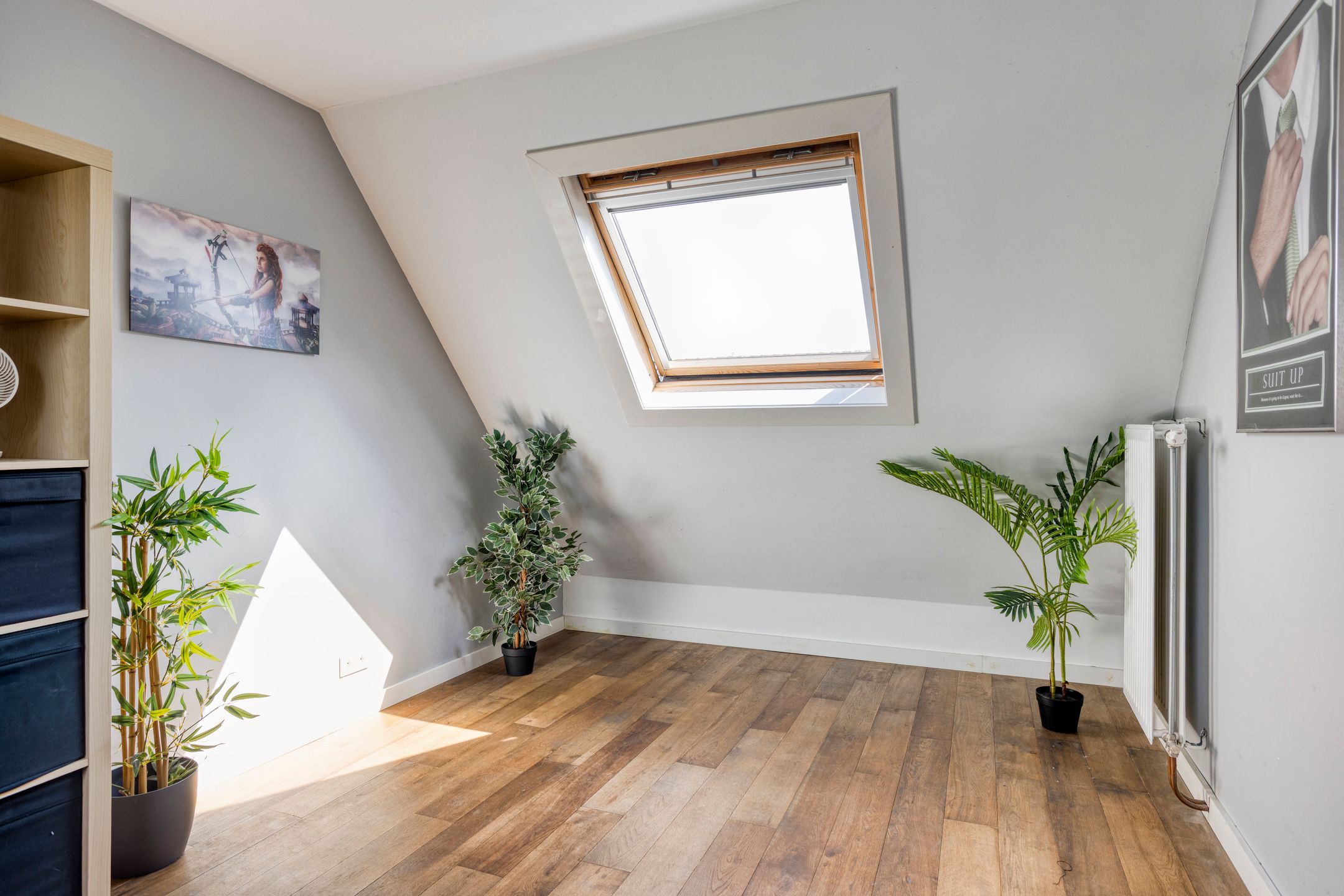 Photo 33 of Paltrokmolen 44