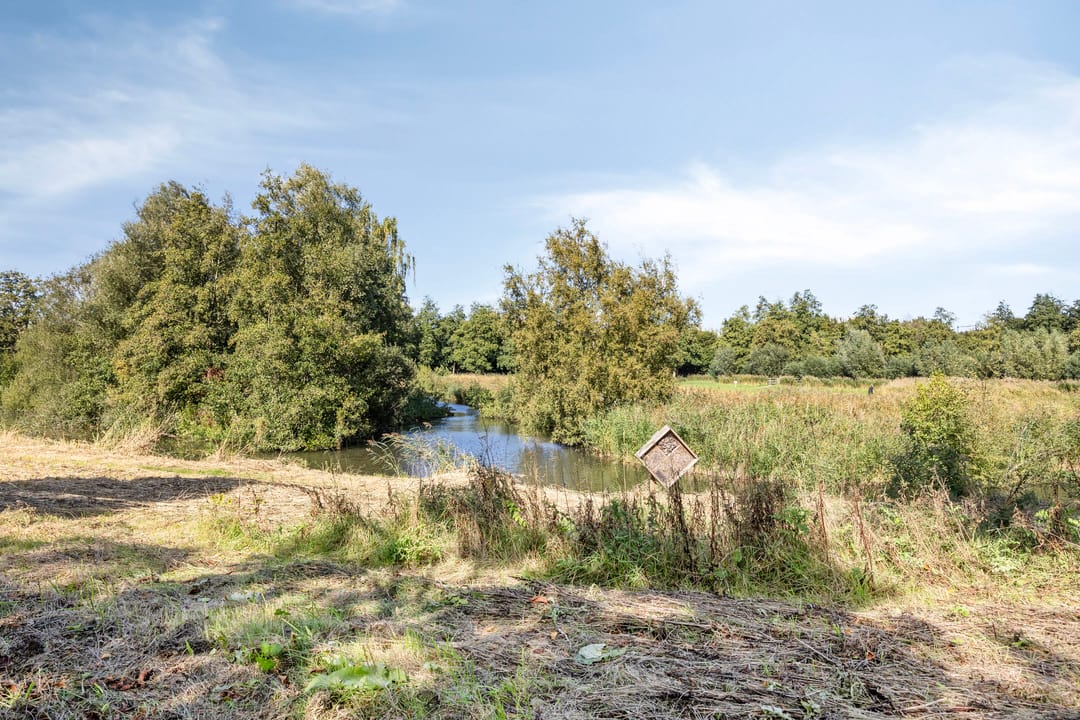 Foto 26 van Van Hallstraat 19-1