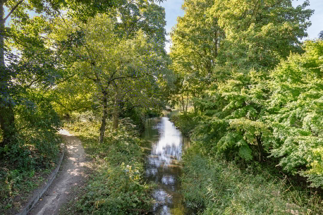 Foto 28 van Van Hallstraat 19-1