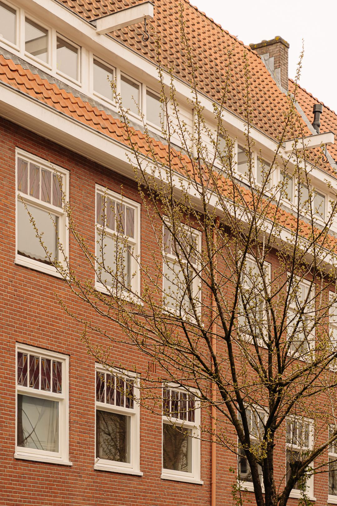 Foto 23 van Kromme Leimuidenstraat 5-1