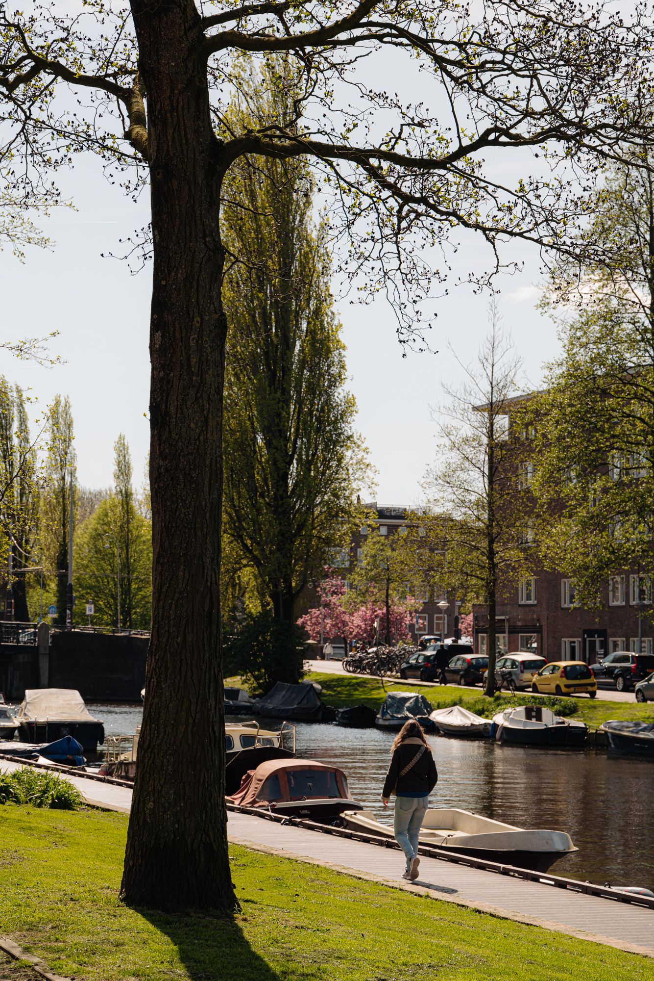 Foto 15 van Van Speijkstraat PP