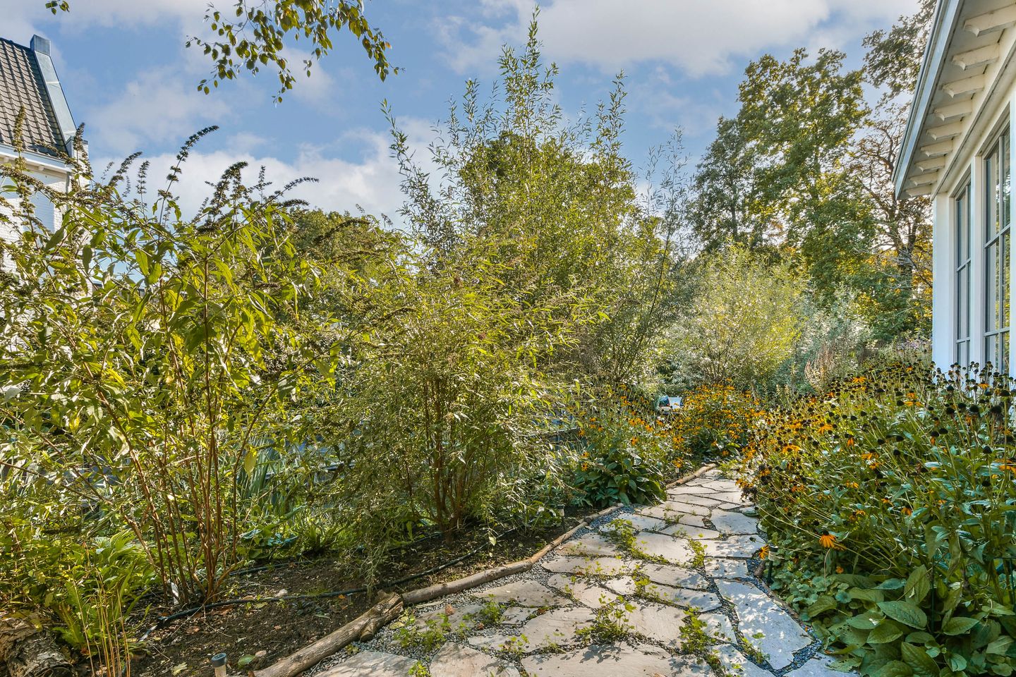 Photo 19 of Vecht en Veld 53