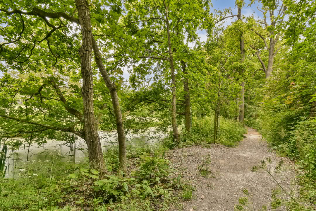 Photo 32 of Vecht en Veld 53