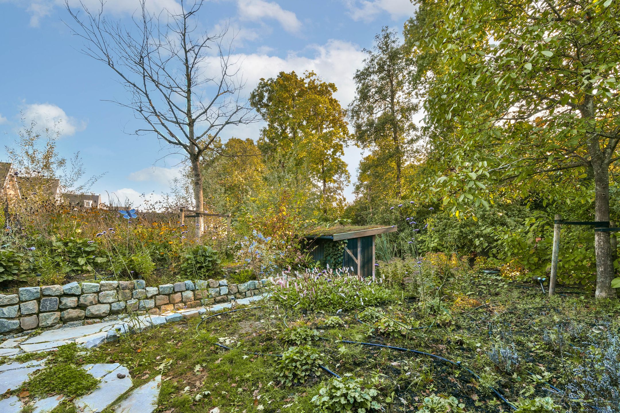 Photo 18 of Vecht en Veld 53