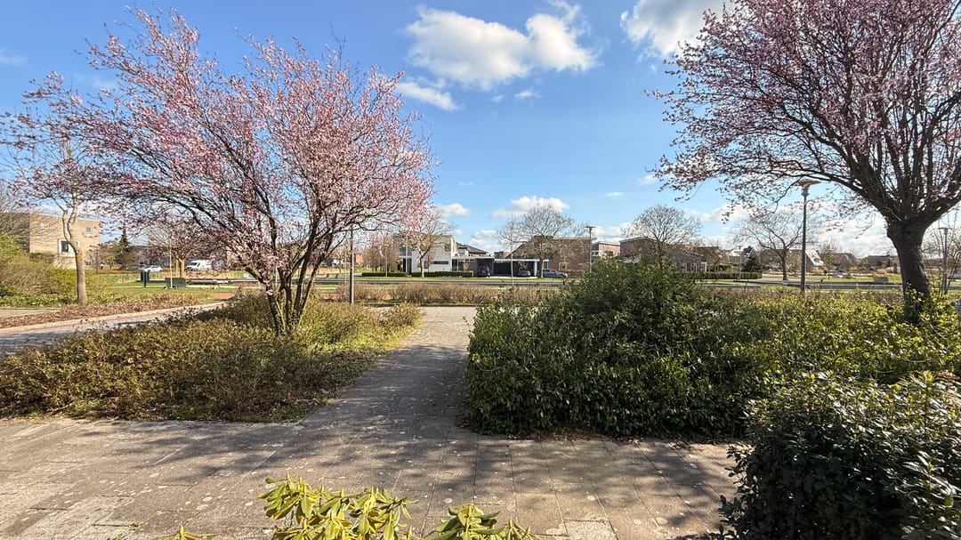 Foto 32 van Stuurhut 16