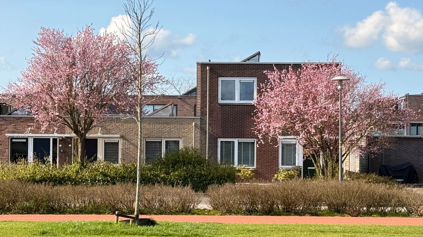 Foto 34 van Stuurhut 16