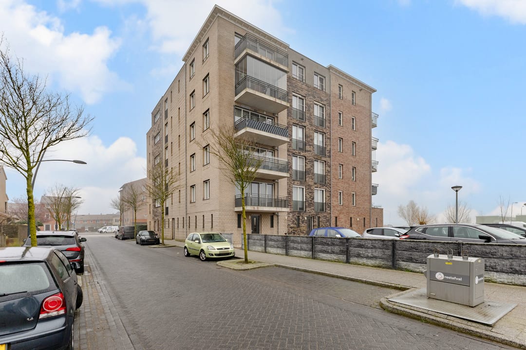 Foto 1 van Witte Ring 11-E