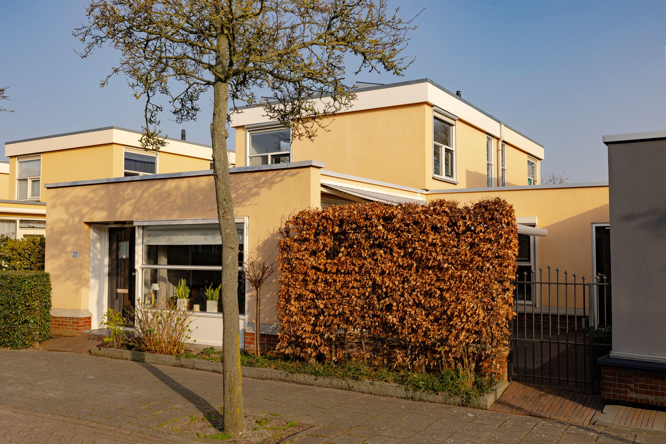 Buying a house in The Netherlands., Zwanebloembocht 221