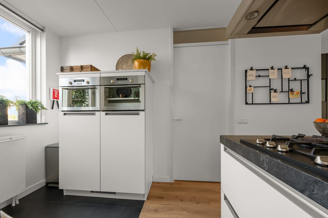 Foto 7 van Ringslang 56