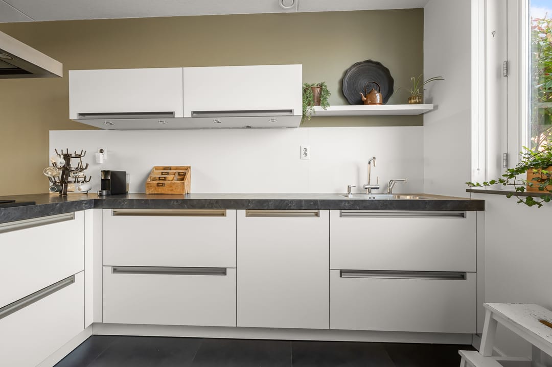 Foto 8 van Ringslang 56