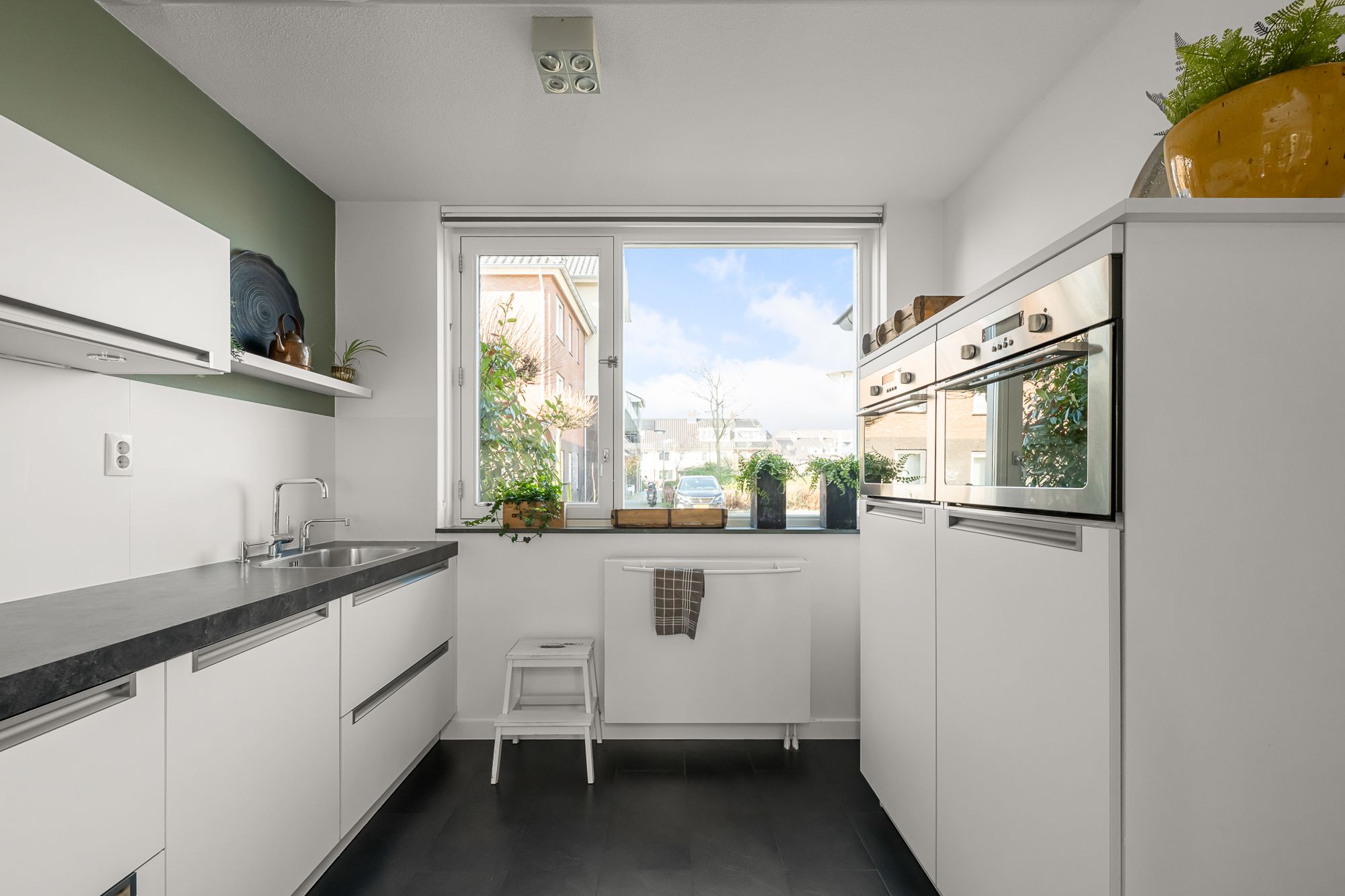 Foto 9 van Ringslang 56