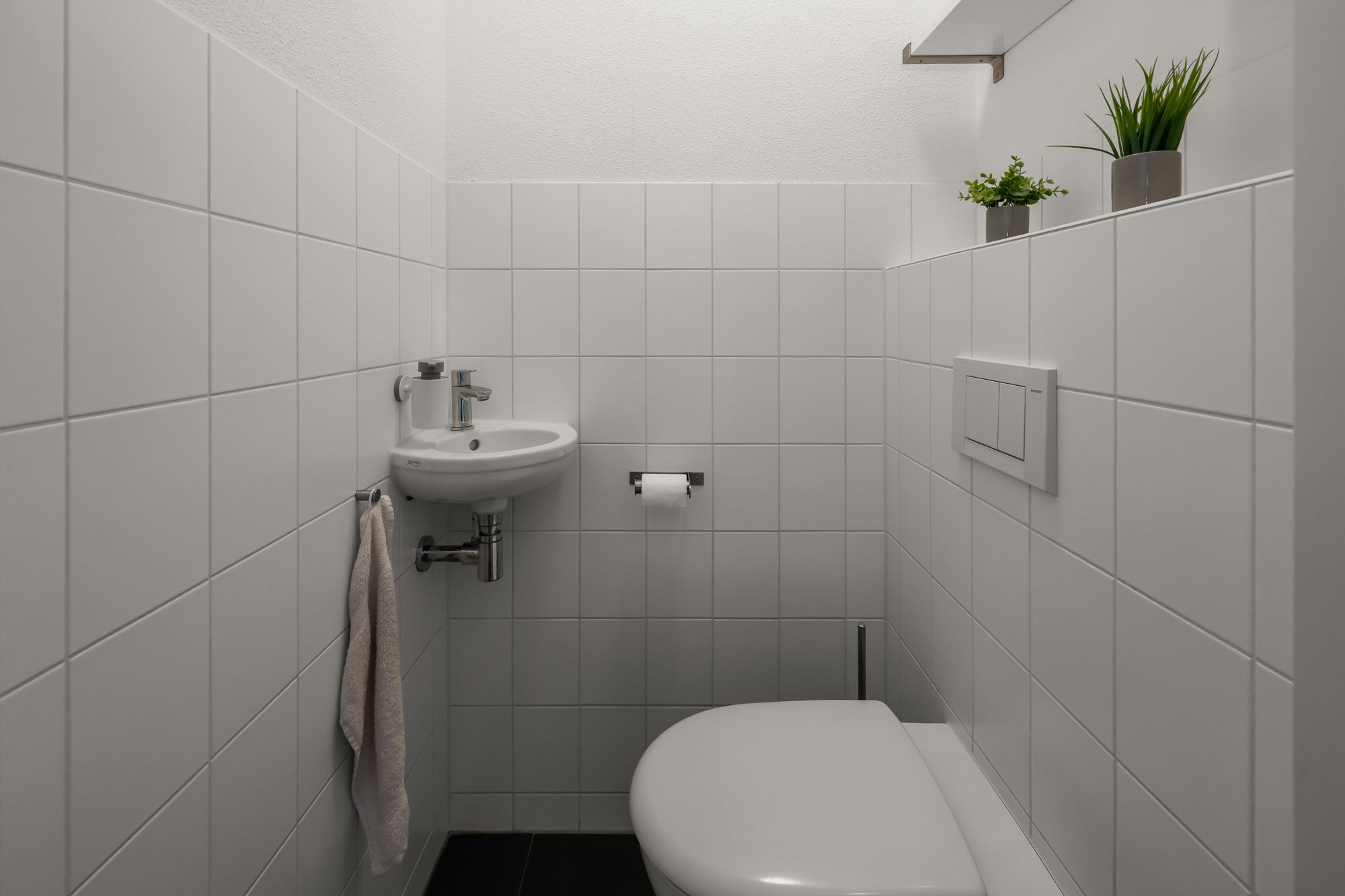 Foto 15 van Ringslang 56