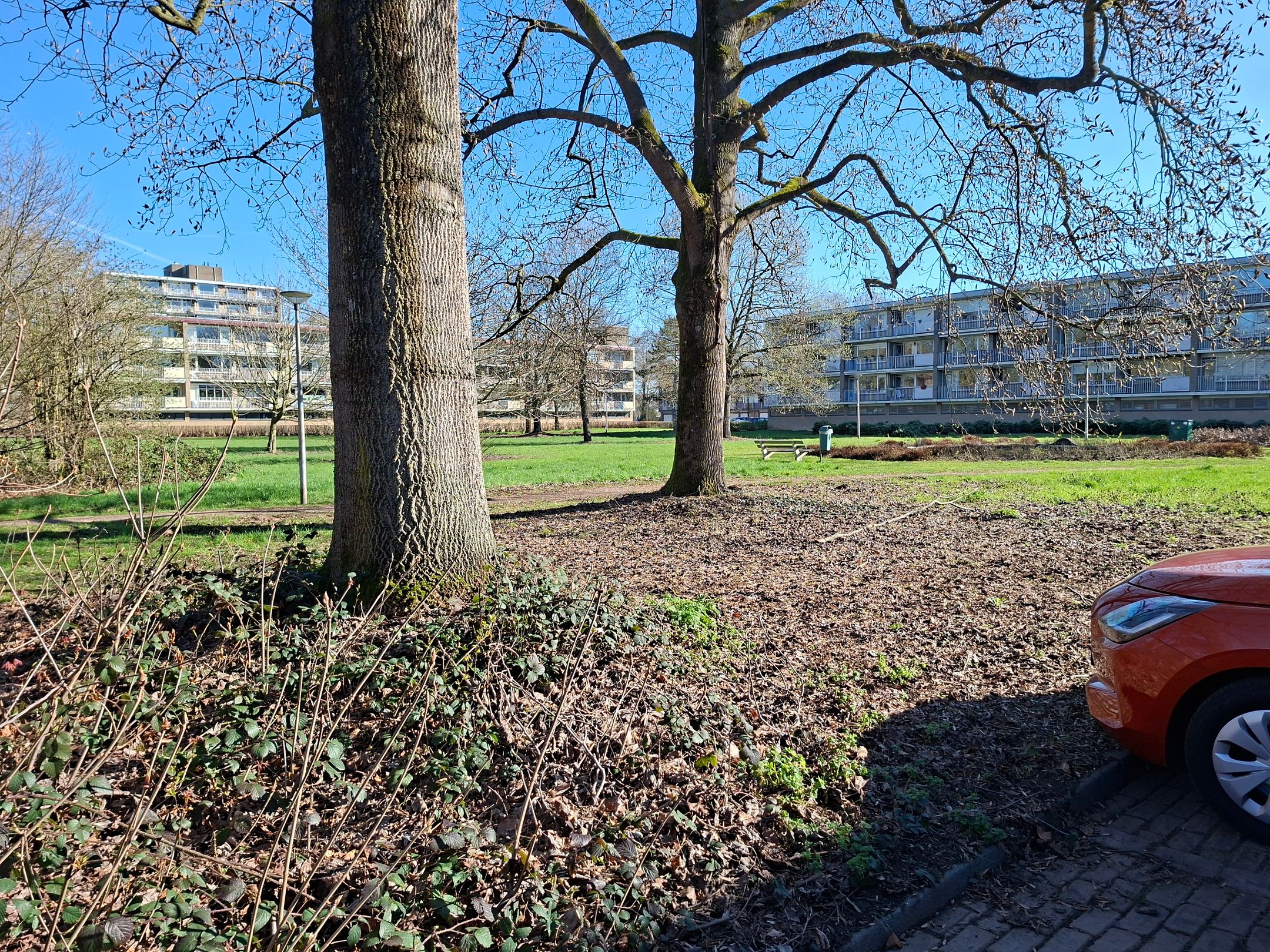 Photo 6 of Malvert 6333