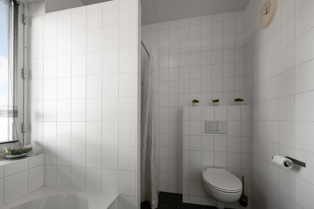 Foto 26 van Ringslang 56