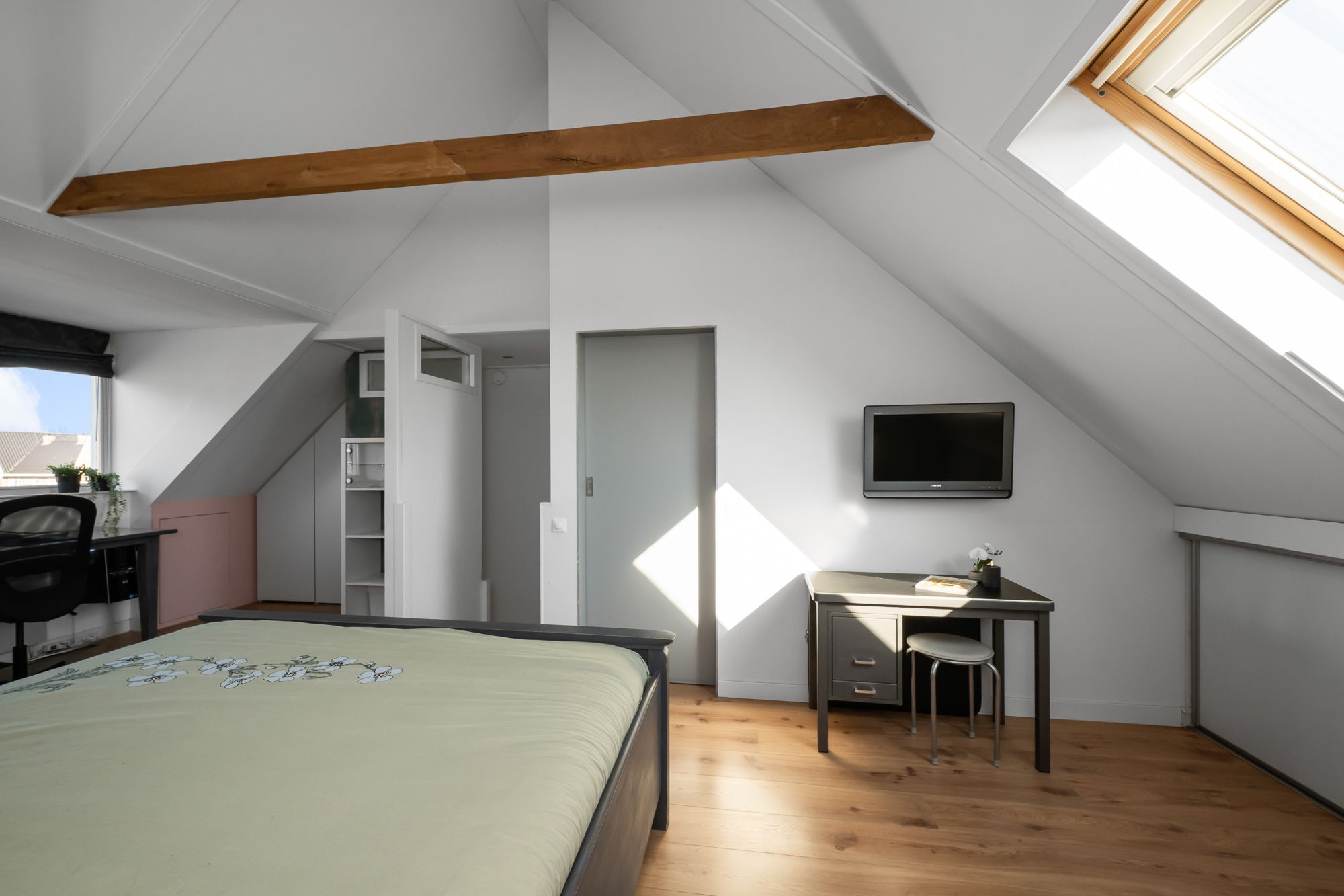 Foto 36 van Ringslang 56