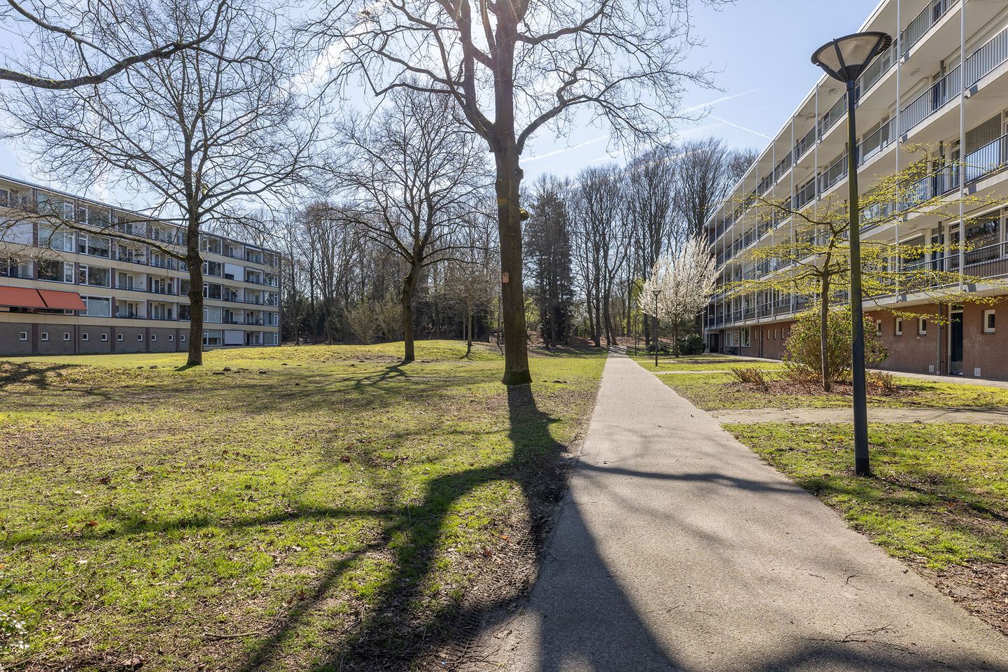 Foto 34 van Hertogenlaan 50