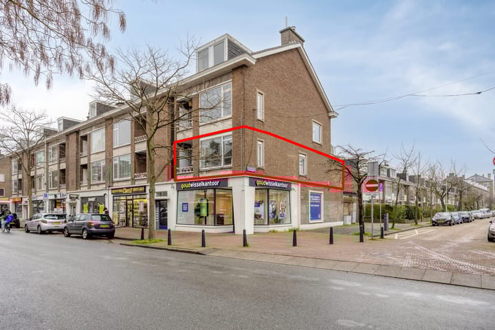 Foto 2 van Theresiastraat 103-A