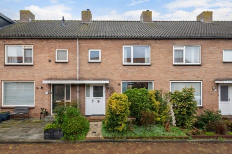 Korenbloemstraat thumbnail