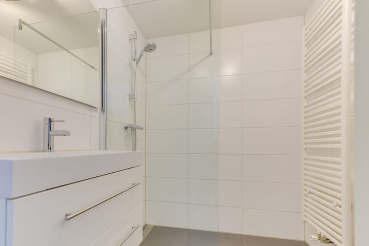 Foto 4 van Potvis 95