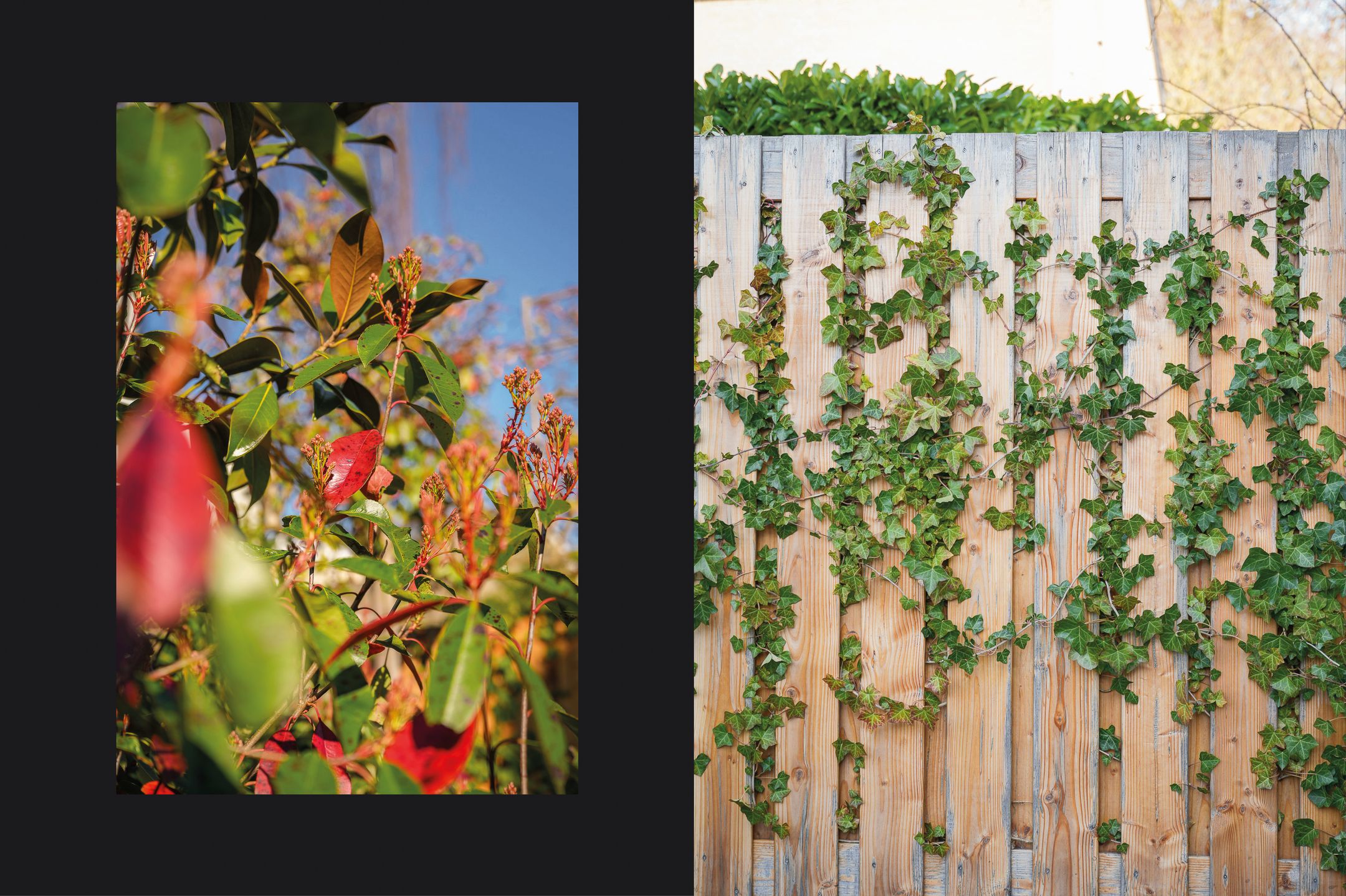 Photo 36 of Westlanderstraat 23