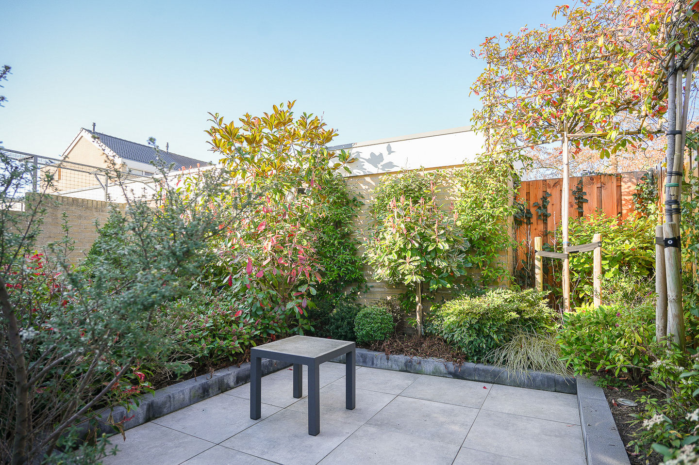 Photo 40 of Westlanderstraat 23