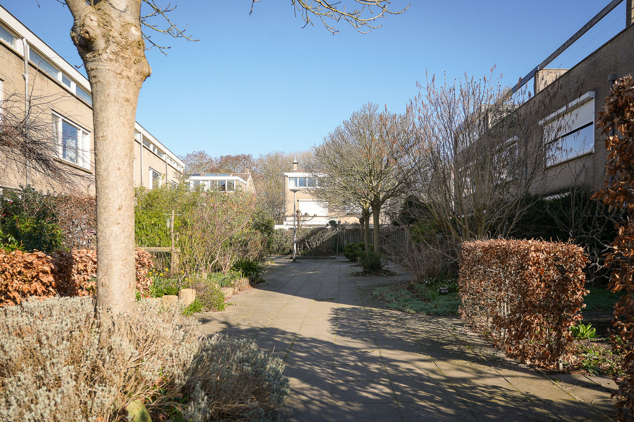 Photo 48 of Westlanderstraat 23