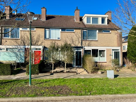 undefined main image