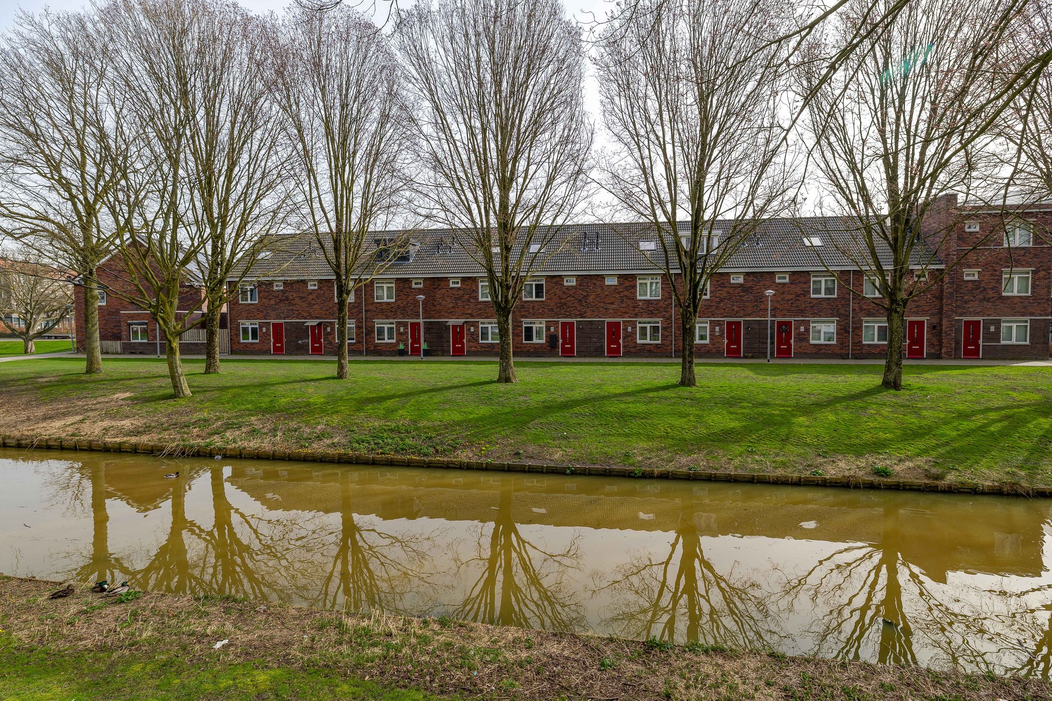 Photo 3 of Buys Ballotsingel 9-A