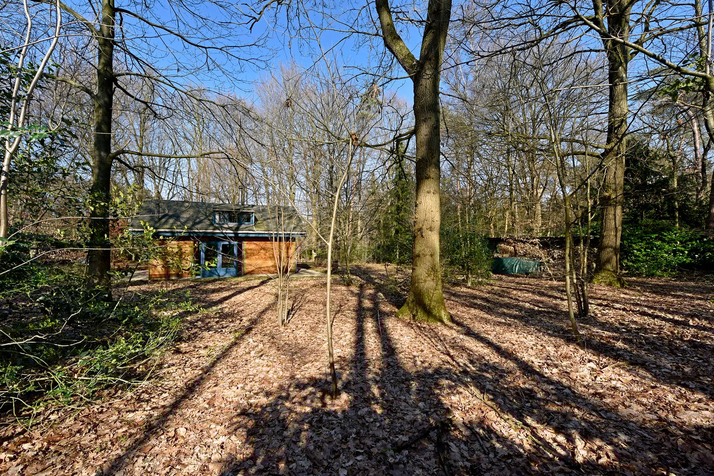 Photo 25 of Bracamonteweg 5