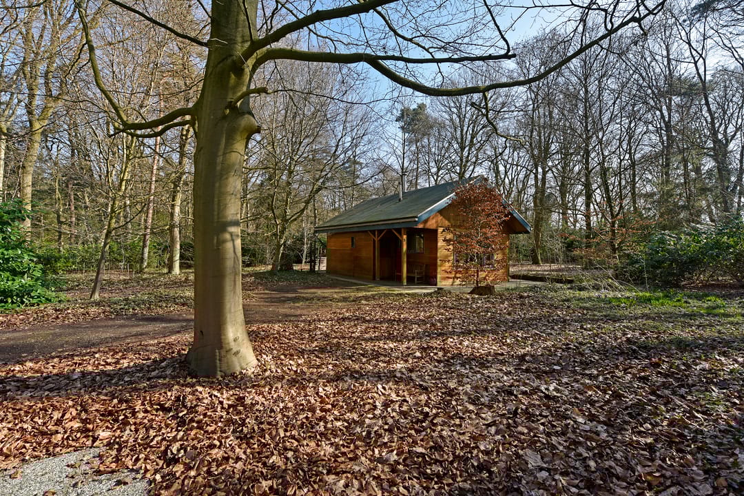 Photo 26 of Bracamonteweg 5