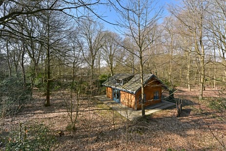 undefined main image