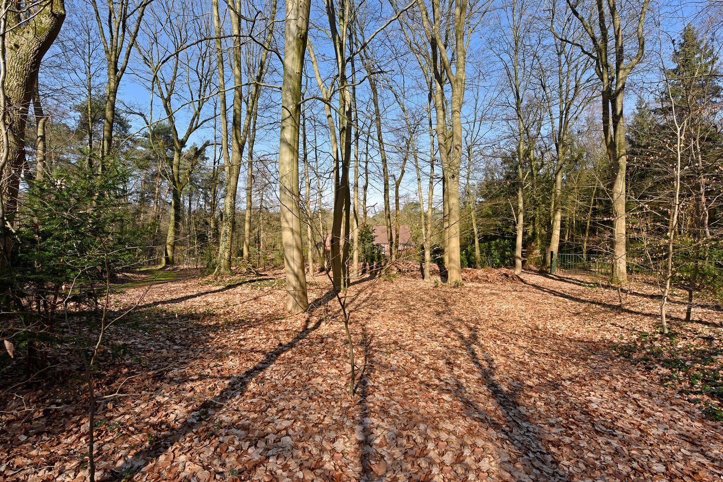 Photo 29 of Bracamonteweg 5