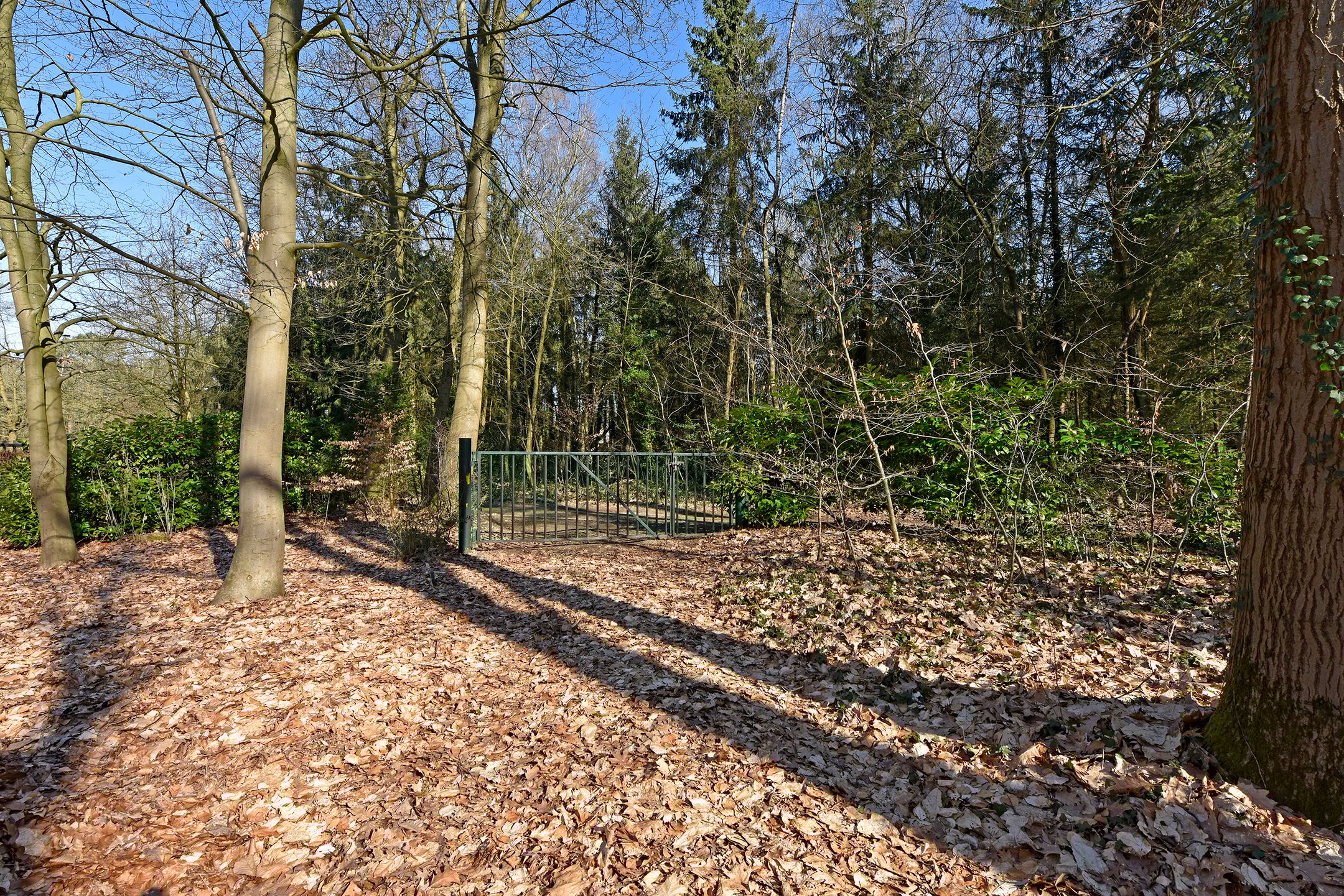 Photo 30 of Bracamonteweg 5