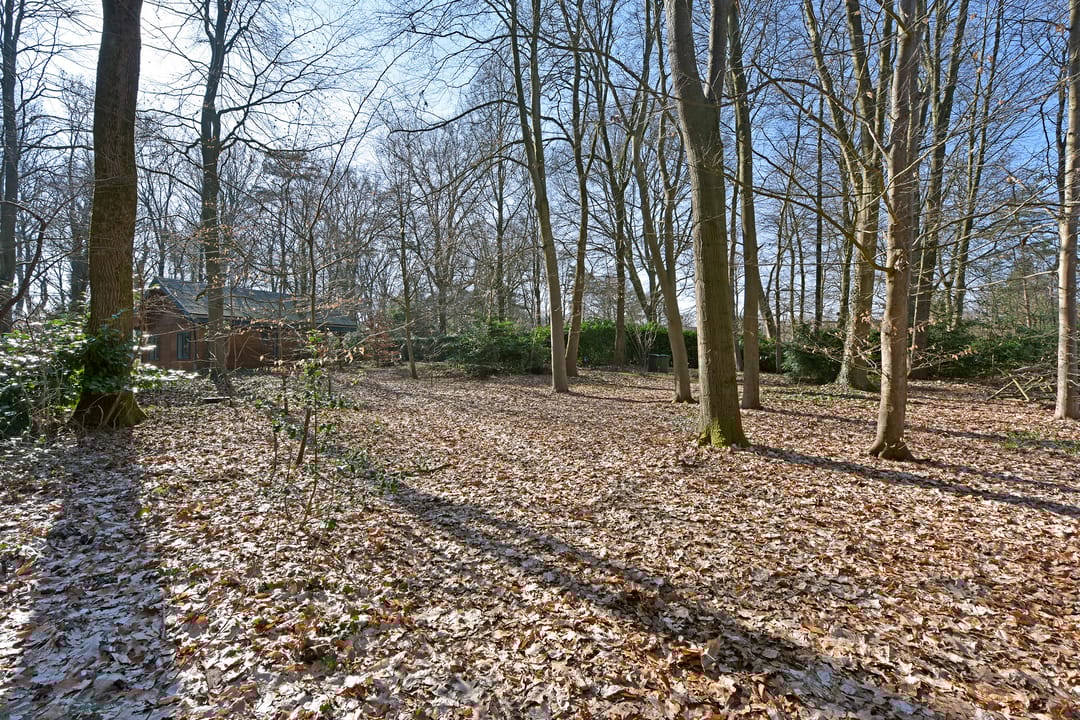 Photo 31 of Bracamonteweg 5